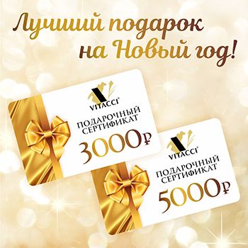 ЛУЧШИЙ ПОДАРОК НА НОВЫЙ ГОД!
